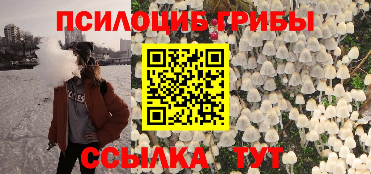 Шумерля  Псилоцибиновые грибы MAGIC MUSHROOMS  Вход с VPN 