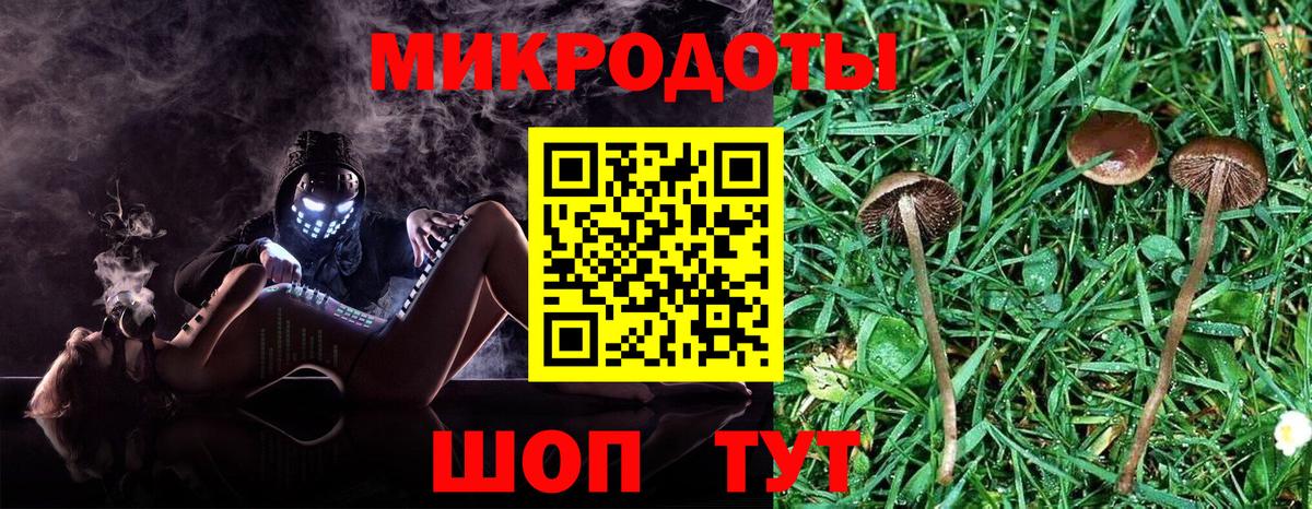 Псилоцибиновые грибы GOLDEN TEACHER Шумерля