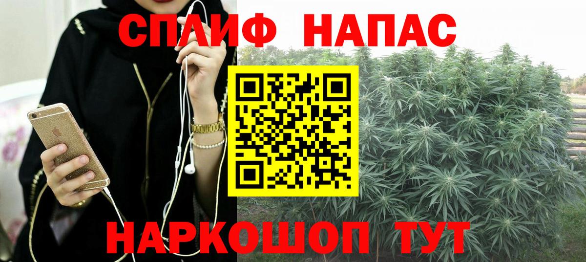 Бошки Шишки MAZAR  Марихуана SATIVA & INDICA  Конопля планчик  Шумерля  Конопля THC 21%  Вход с VPN 